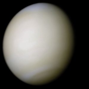 venus-cores-reais