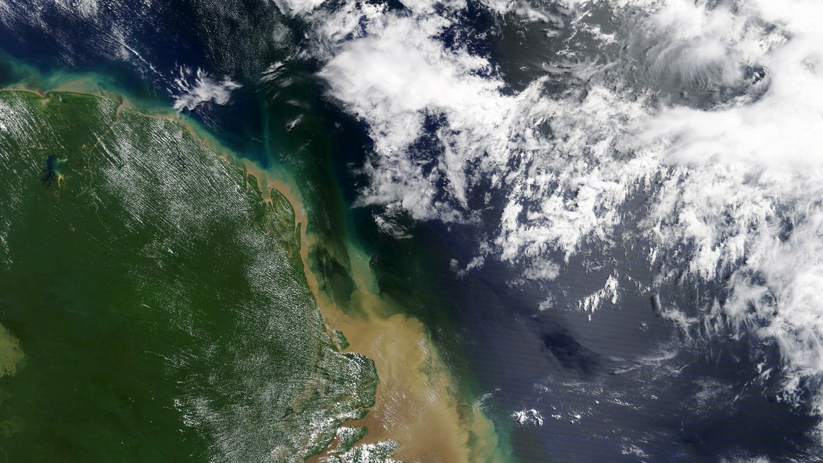 Imagem de satélite da foz do Amazonas: a água opaca cor de ocre carregada de sedimento espalha-se num leque sobre o azul-escuro do Atlântico, com a floresta verde ocupando a margem e nuvens cumulus dispersas sobre o oceano